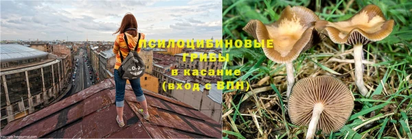 гидра Алзамай