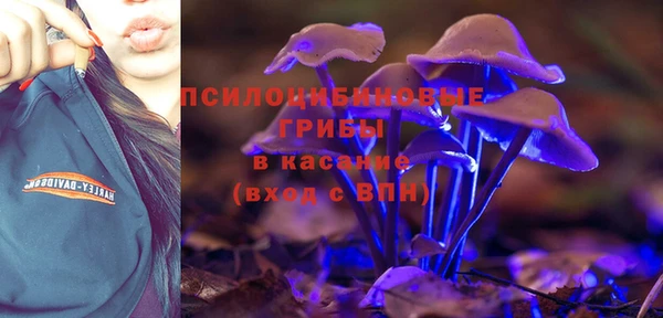 PSILOCYBIN Арсеньев