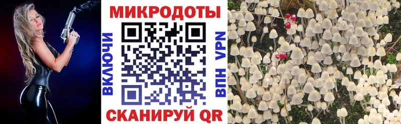 mega ONION Белорецк Галлюциногенные грибы Psilocybe купить наркоту
